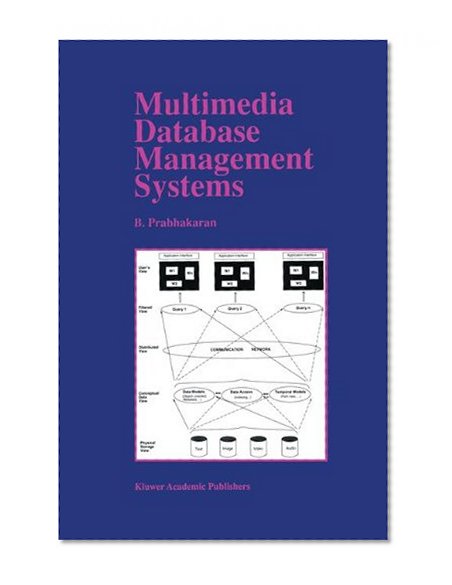 Multimedia Database Management Systems (The Springer International Series in Engineering and Computer Science)