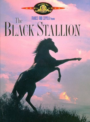 Book Cover Black Stallion, The