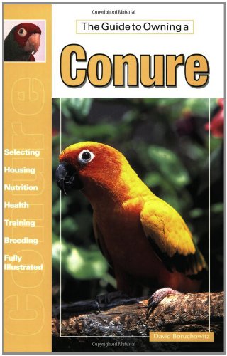 The Guide to Owning a Conure
