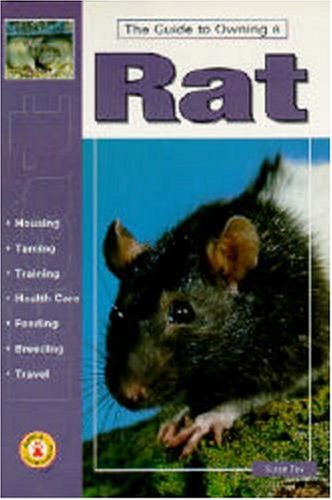 The Guide to Owning a Rat