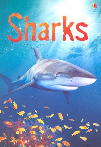 Book Cover Sharks: Information for Young Readers - Level 1 (Usborne Beginners)