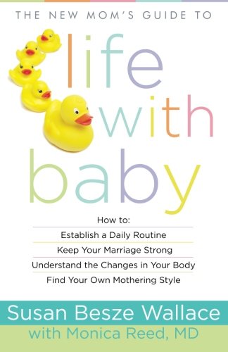 The New Mom's Guide to Life with Baby (New Mom's Guides)