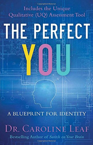 Book Cover The Perfect You: A Blueprint for Identity