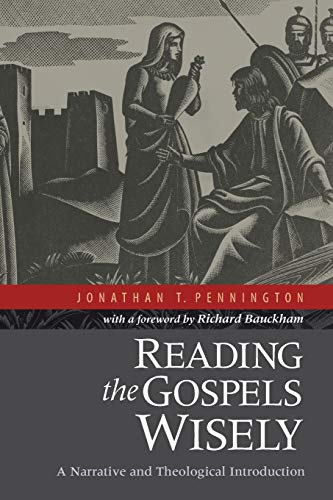 Book Cover Reading the Gospels Wisely: A Narrative And Theological Introduction