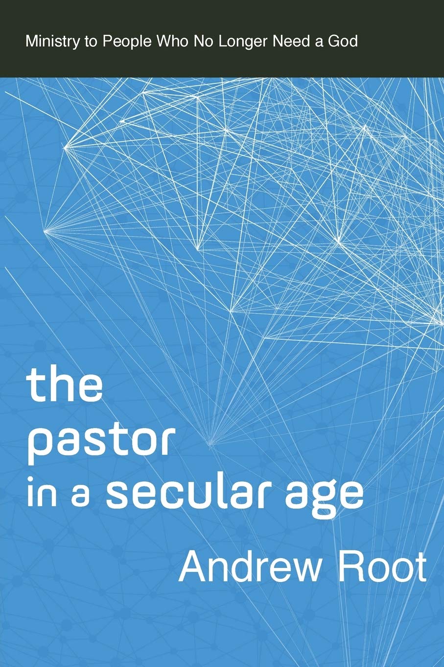 Book Cover The Pastor in a Secular Age: Ministry to People Who No Longer Need a God (Ministry in a Secular Age)