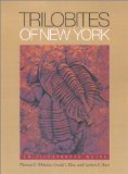 Trilobites of New York: An Illustrated Guide (Comstock books)