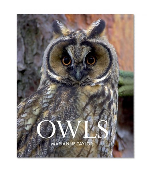 Owls