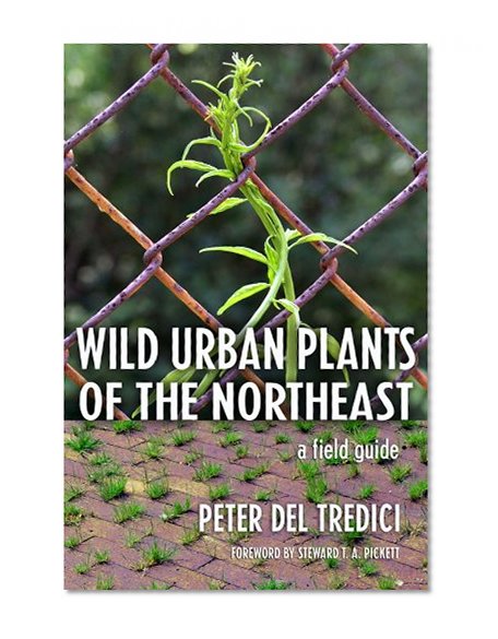 Wild Urban Plants of the Northeast: A Field Guide