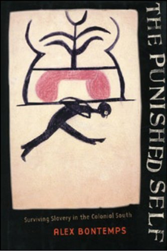 The Punished Self: Surviving Slavery in the Colonial South