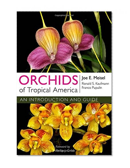 Orchids of Tropical America: An Introduction and Guide