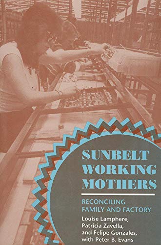 Sunbelt Working Mothers: Reconciling Family and Factory (The Anthropology of Contemporary Issues)