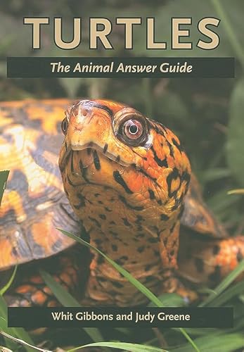 Turtles: The Animal Answer Guide (The Animal Answer Guides: Q&A for the Curious Naturalist)