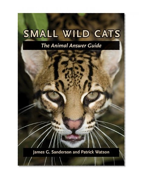 Small Wild Cats: The Animal Answer Guide (The Animal Answer Guides: Q&A for the Curious Naturalist)