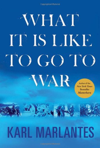 Book Cover What It Is Like to Go to War