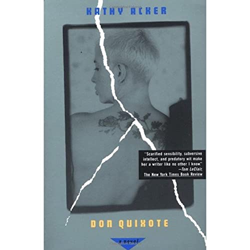 Don Quixote: A Novel (Acker, Kathy)
