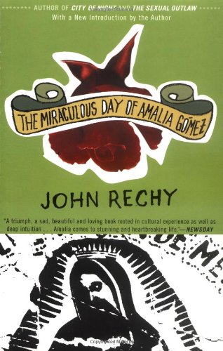 Book Cover The Miraculous Day of Amalia Gomez