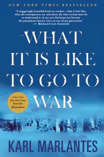 Book Cover What It Is Like To Go To War