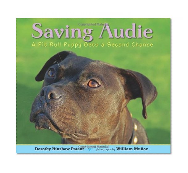 Saving Audie: A Pit Bull Puppy Gets a Second Chance
