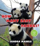 How Many Baby Pandas?