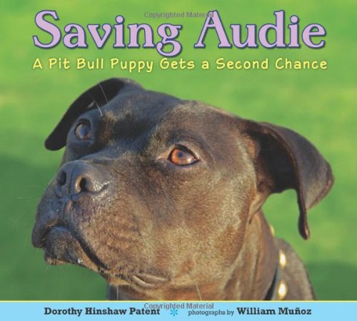 Saving Audie: A Pit Bull Puppy Gets a Second Chance