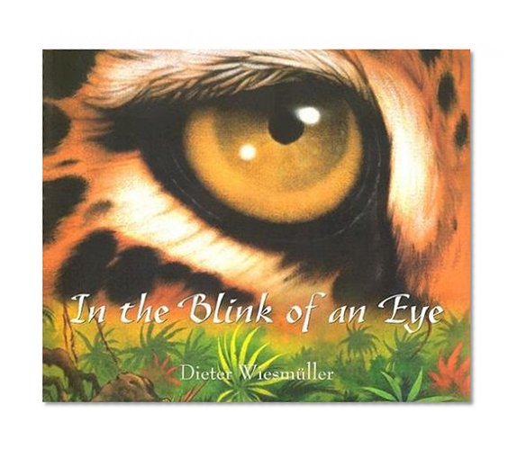 In the Blink of an Eye