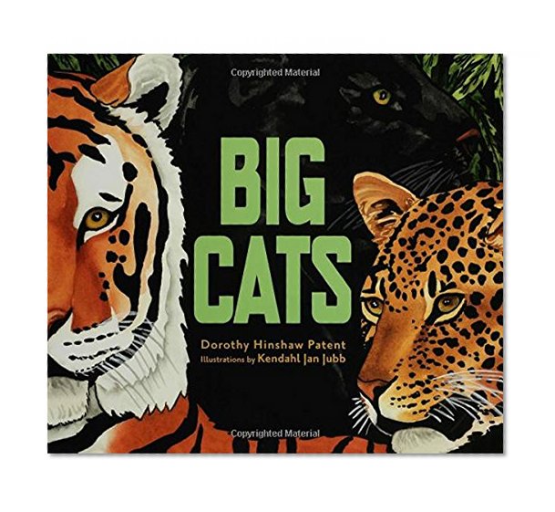 Big Cats