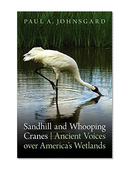 Sandhill and Whooping Cranes: Ancient Voices over America's Wetlands