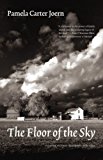 The Floor of the Sky (Flyover Fiction)