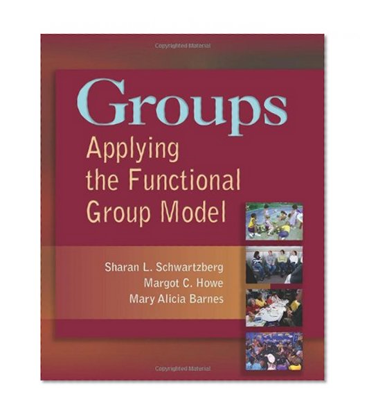 Groups: Applying the Functional Group Model