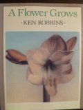 A Flower Grows