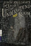 The Secret of the Underground Room: A Johnny Dixon, Professer Childermass Book