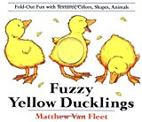 Fuzzy Yellow Ducklings