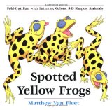 Spotted Yellow Frogs: Fold-out Fun with Patterns, Colors, 3-D Shapes, Animals