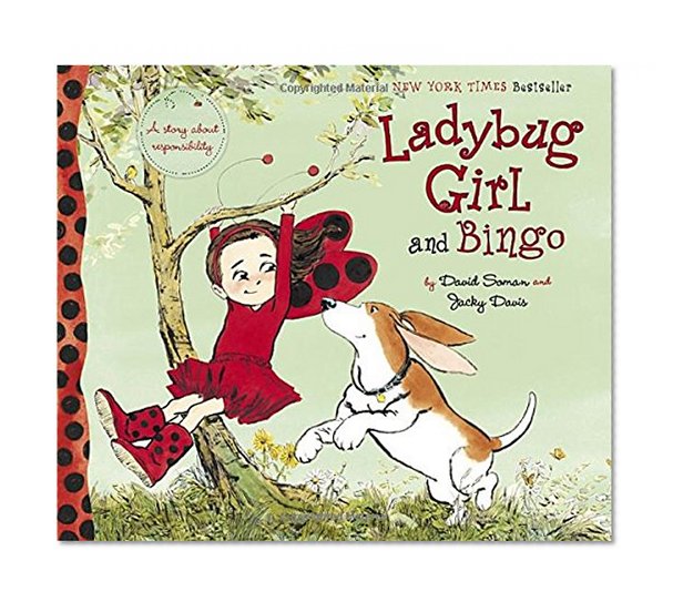Ladybug Girl and Bingo