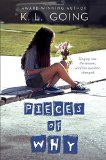 Pieces of Why