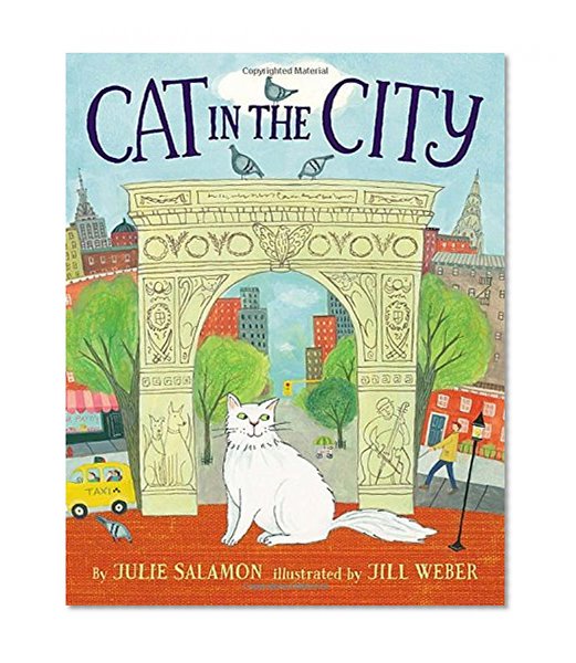 Cat in the City