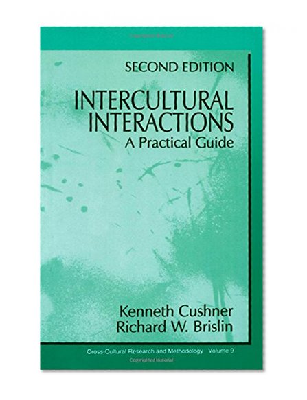 Intercultural Interactions: A Practical Guide (Cross Cultural Research and Methodology)