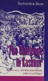 The Challenge in Kashmir: Democracy, Self-Determination, and a Just Peace