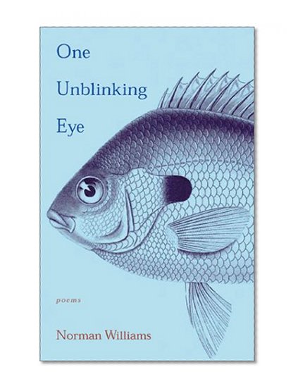 One Unblinking Eye: Poems