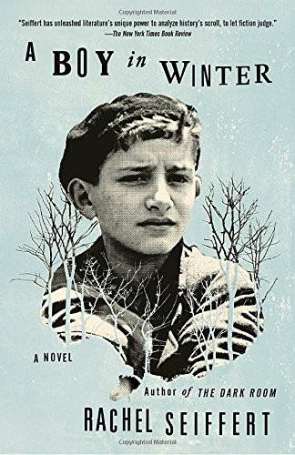 A Boy in Winter: A Novel (Vintage International)