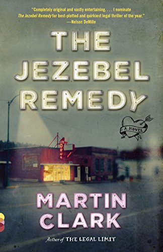 Book Cover The Jezebel Remedy (Vintage Contemporaries)