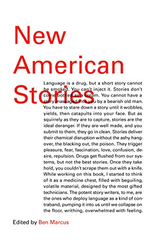 Book Cover New American Stories (Vintage Contemporaries)