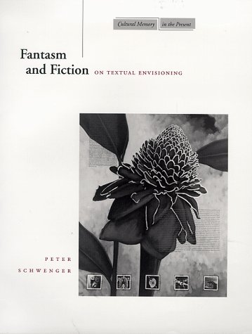 Fantasm and Fiction: On Textual Envisioning (Cultural Memory in the Present)