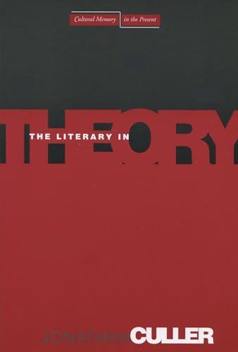The Literary in Theory (Cultural Memory in the Present)