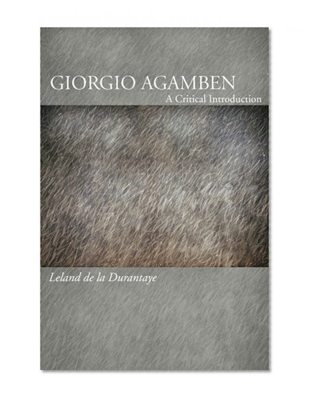 Giorgio Agamben: A Critical Introduction