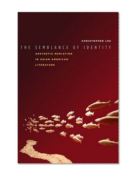 The Semblance of Identity: Aesthetic Mediation in Asian American Literature
