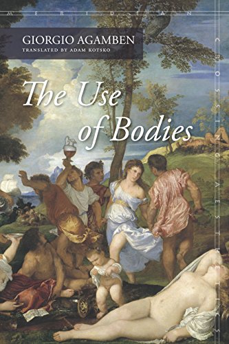 Book Cover The Use of Bodies (Meridian: Crossing Aesthetics)