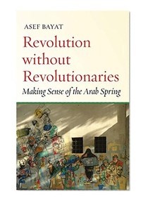 Revolution Without Revolutionaries: Making Sense of the Arab Spring