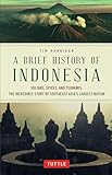 A Brief History of Indonesia: Sultans, Spices, and Tsunamis: The Incredible Story of Southeast Asia's Largest Nation