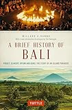A Brief History Of Bali: Piracy, Slavery, Opium and Guns: The Story of a Pacific Paradise